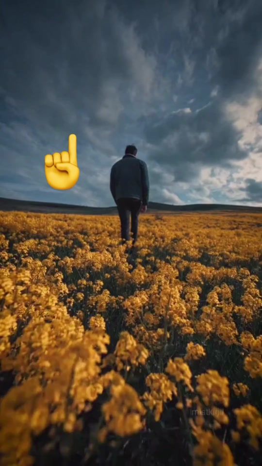 TikTok video thumbnail by lirija_ka_emer
