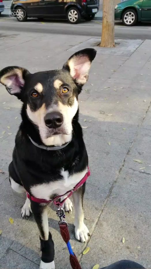 TikTok video thumbnail by brunetehernando