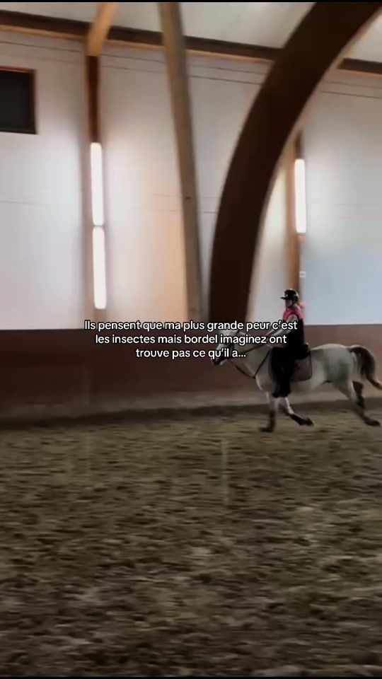 TikTok video thumbnail by oceane.imperioso