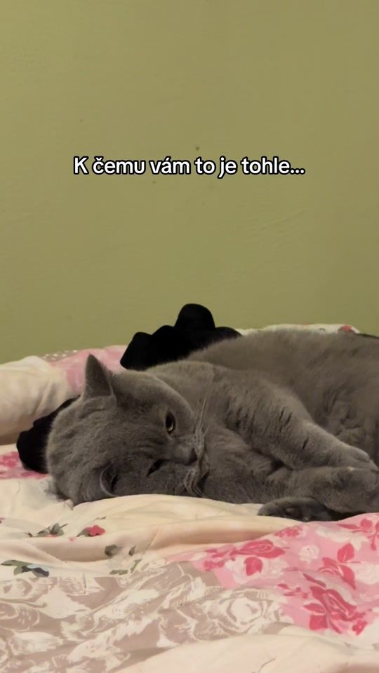 TikTok video thumbnail by lunarme_
