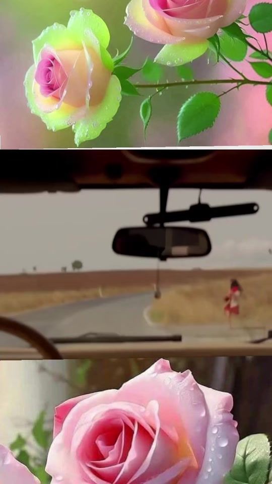 TikTok video thumbnail by serinewelat