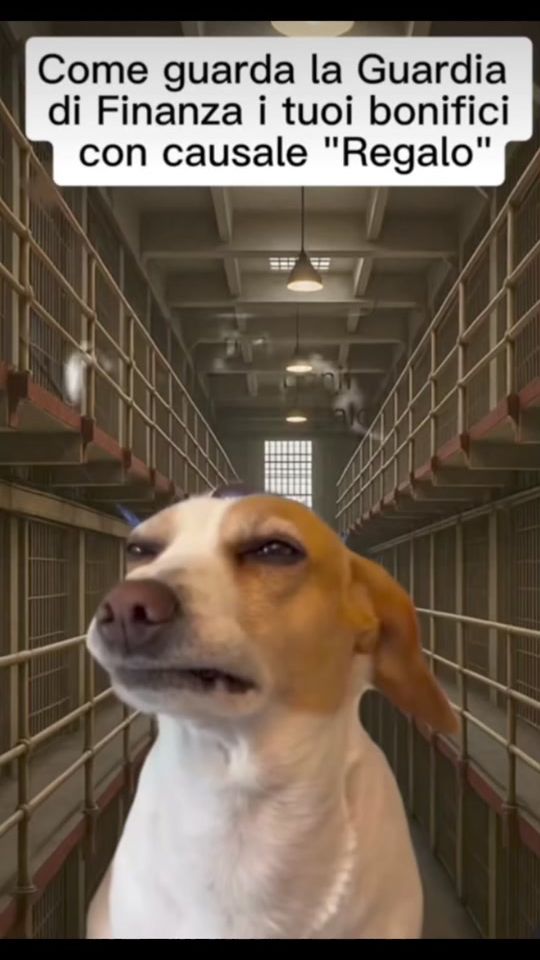 TikTok video thumbnail by caosmeme