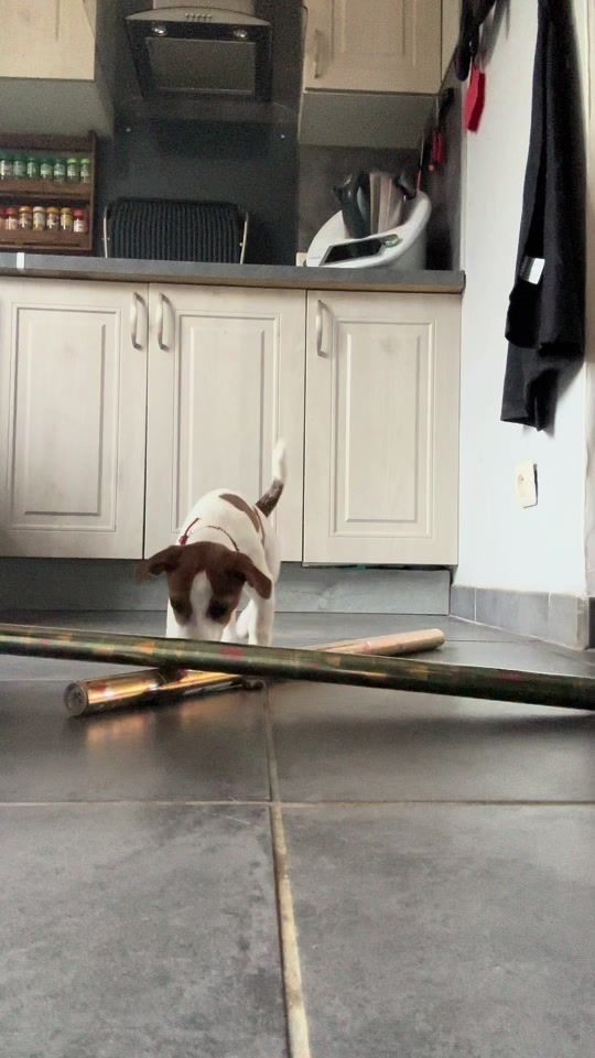 TikTok video thumbnail by valenturbine