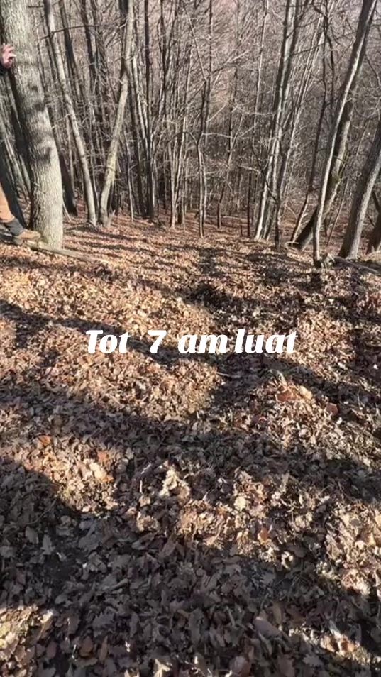 TikTok video thumbnail by mihai.bratulescu
