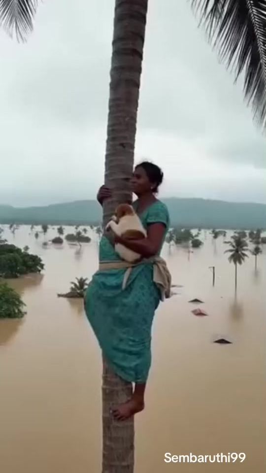 TikTok video thumbnail by sembaruthi99