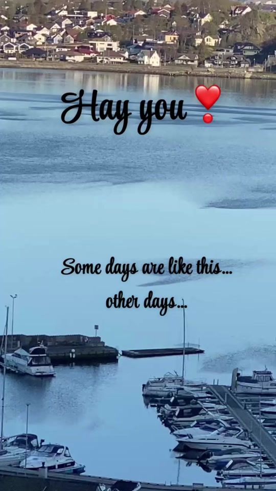 TikTok video thumbnail by luna.borghild1