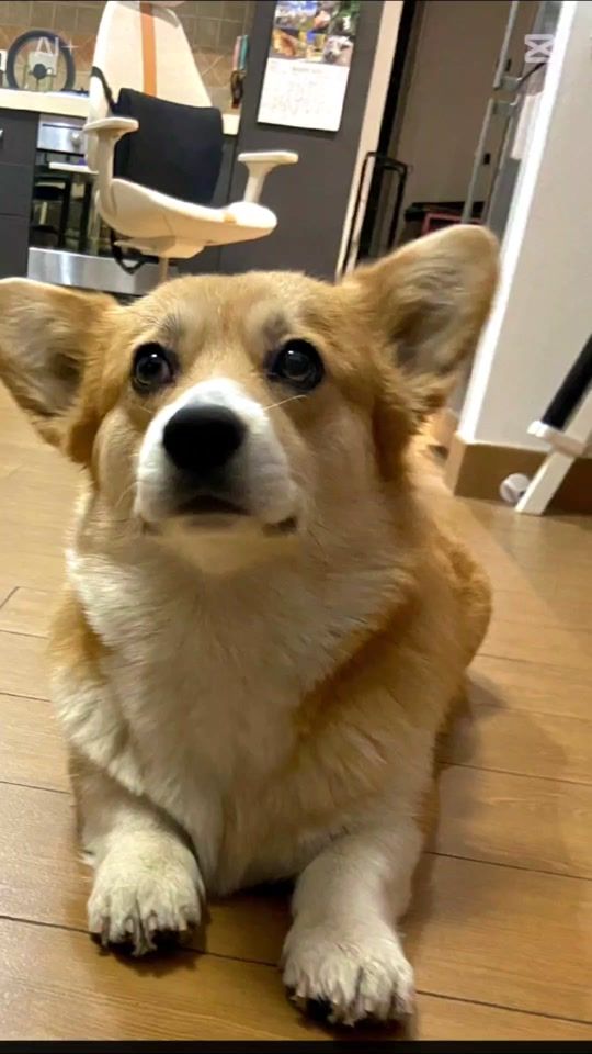 TikTok video thumbnail by fiorediloto752