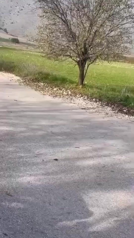 TikTok video thumbnail by k4kkas