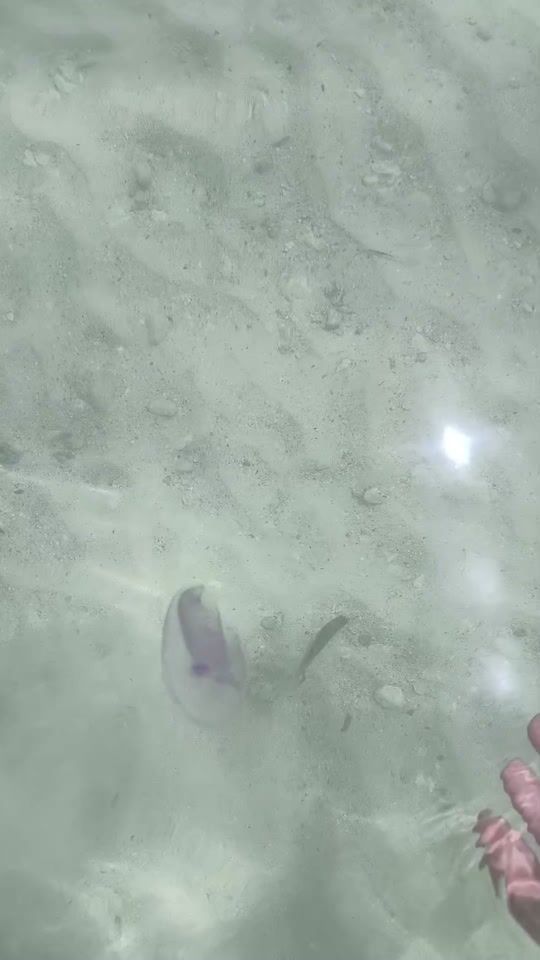 TikTok video thumbnail by goosia112