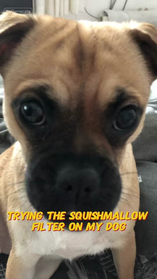 TikTok video thumbnail by indiethenaughtyjug