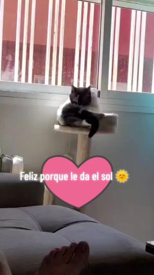 TikTok video thumbnail by chari.91
