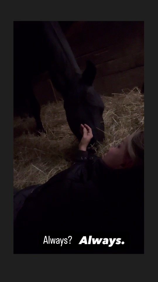 TikTok video thumbnail by ermi_bolan