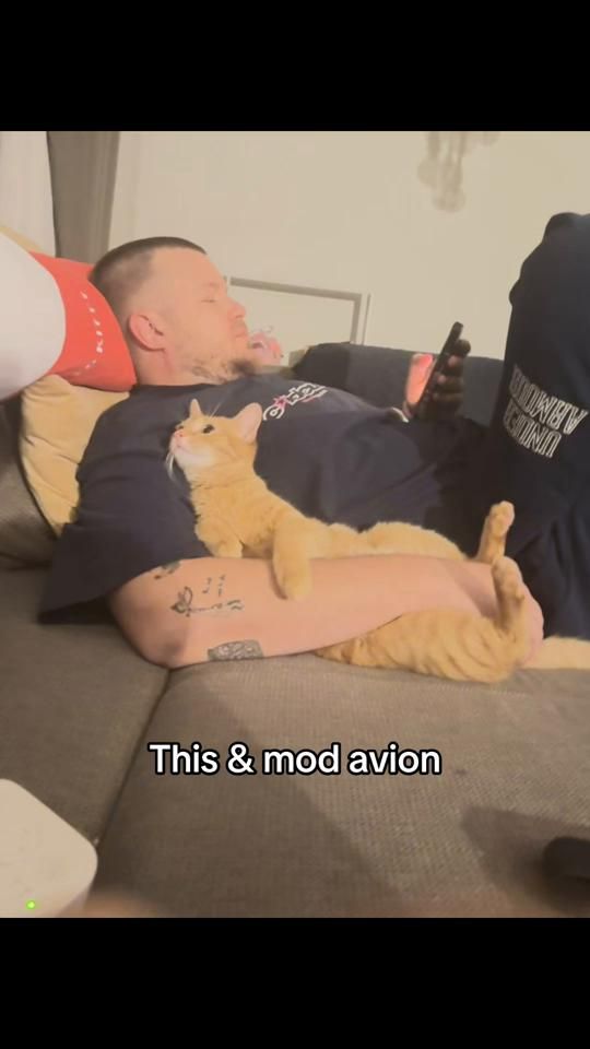 TikTok video thumbnail by dragosneacsa7