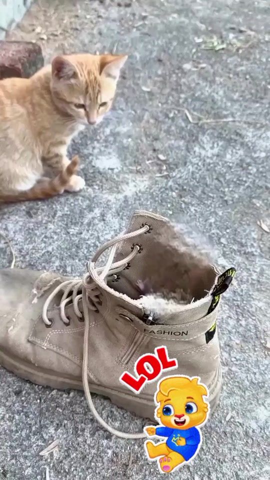 TikTok video thumbnail by marcsi_1979