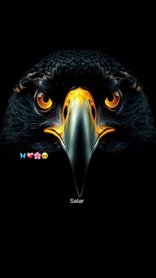 TikTok video thumbnail by oo.salar12