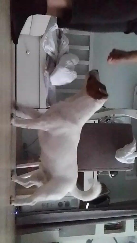 TikTok video thumbnail by finianiashka