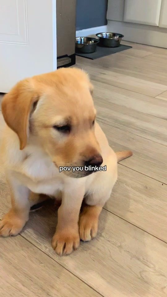 TikTok video thumbnail by marfmaay