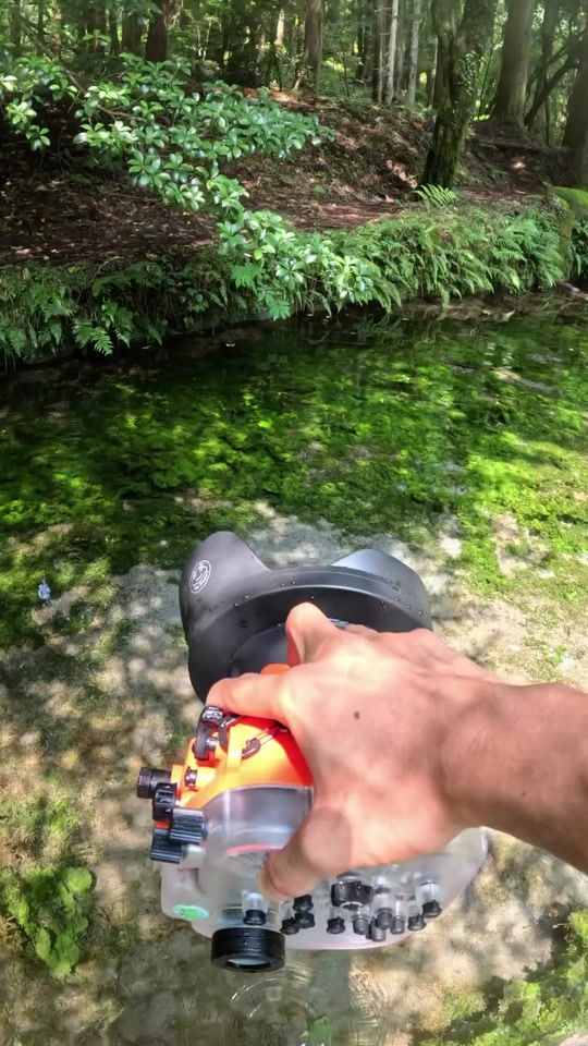 TikTok video thumbnail by fishplanet.2