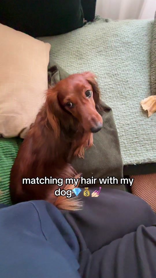 TikTok video thumbnail by monsieur.raoull