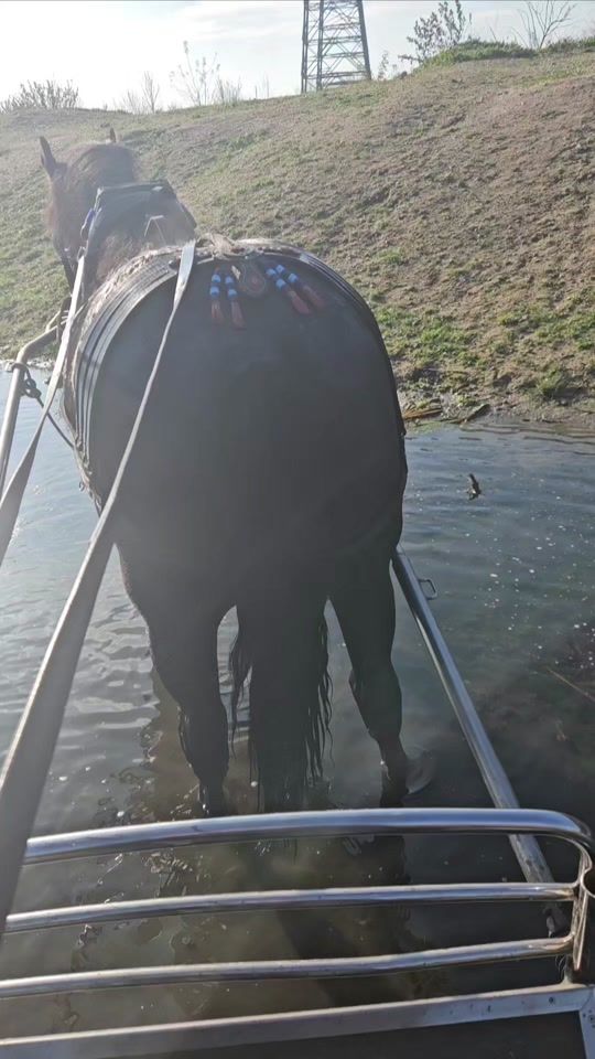TikTok video thumbnail by todorvanev