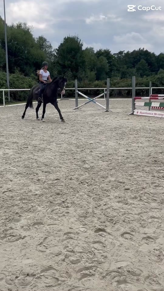 TikTok video thumbnail by saskia.merwitz