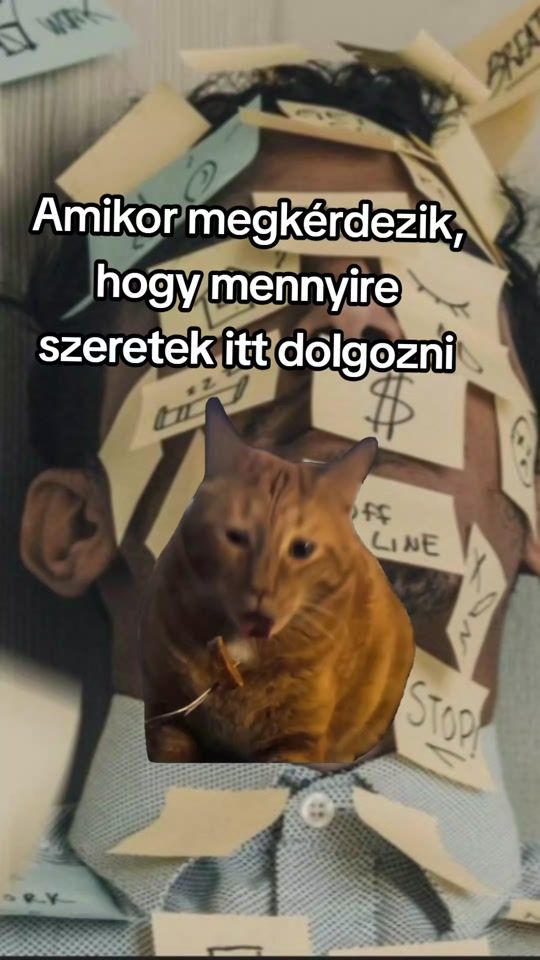 TikTok video thumbnail by linuskaaa13