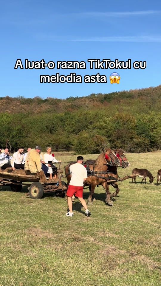 TikTok video thumbnail by andradacerna