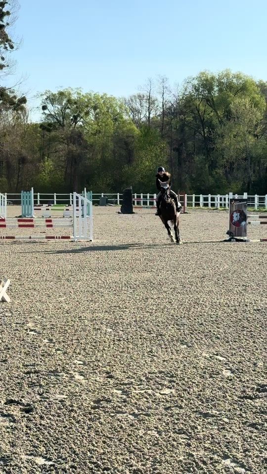 TikTok video thumbnail by flipsi.showjumping