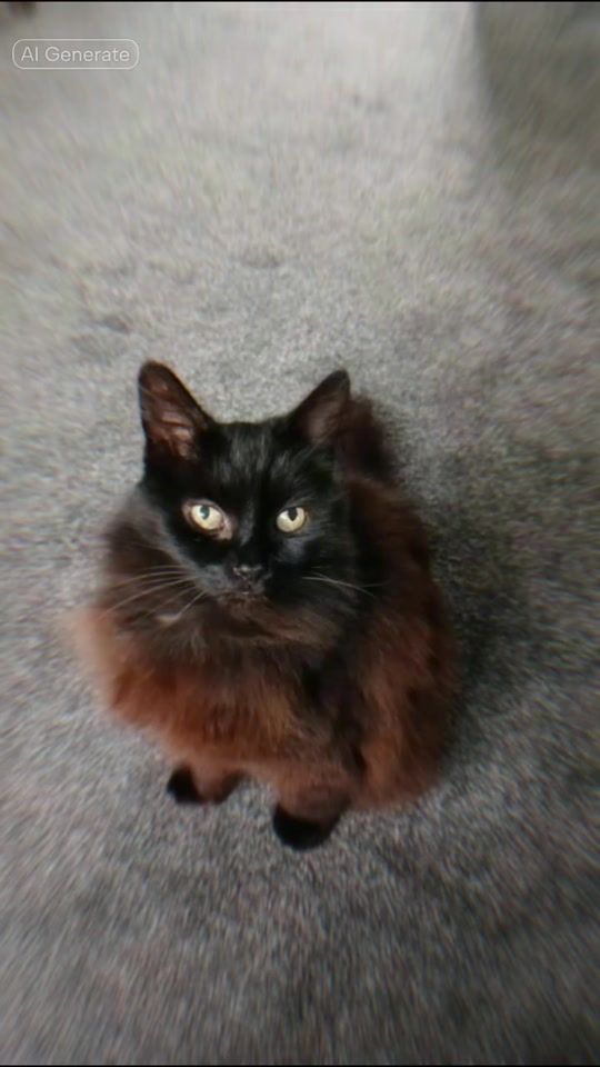 TikTok video thumbnail by jo678363