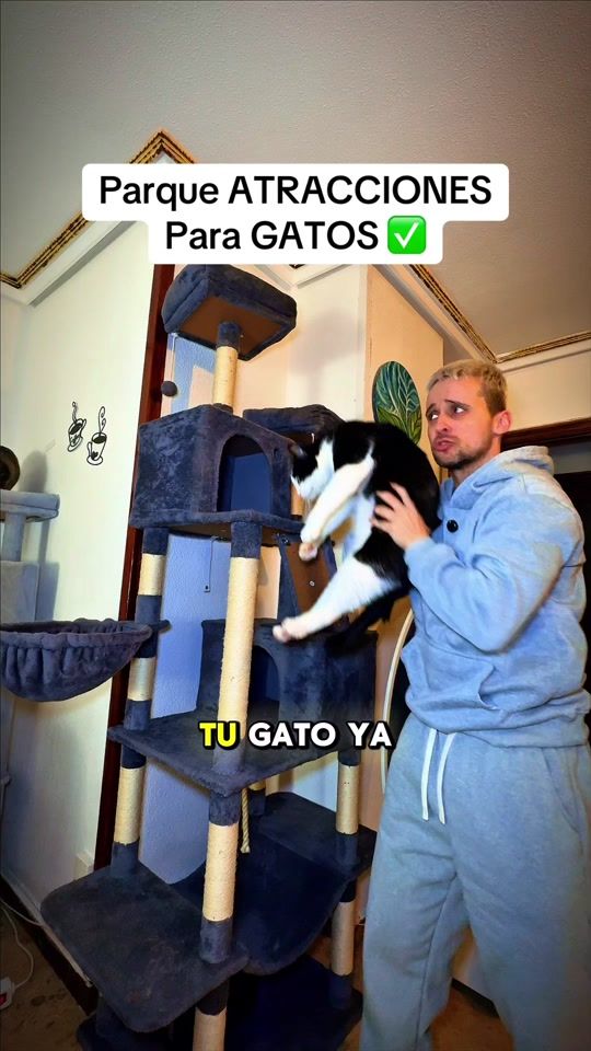 TikTok video thumbnail by raul_zumba
