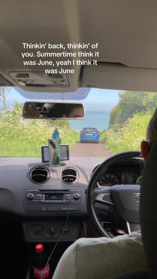 TikTok video thumbnail by janicurrie
