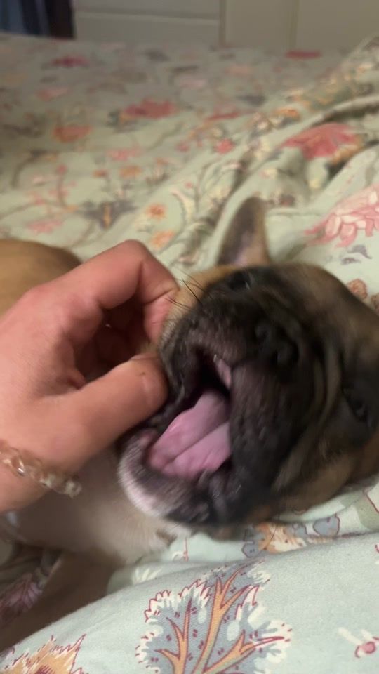 TikTok video thumbnail by judit_rey