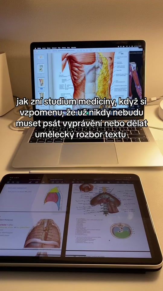 TikTok video thumbnail by __.lucik.__