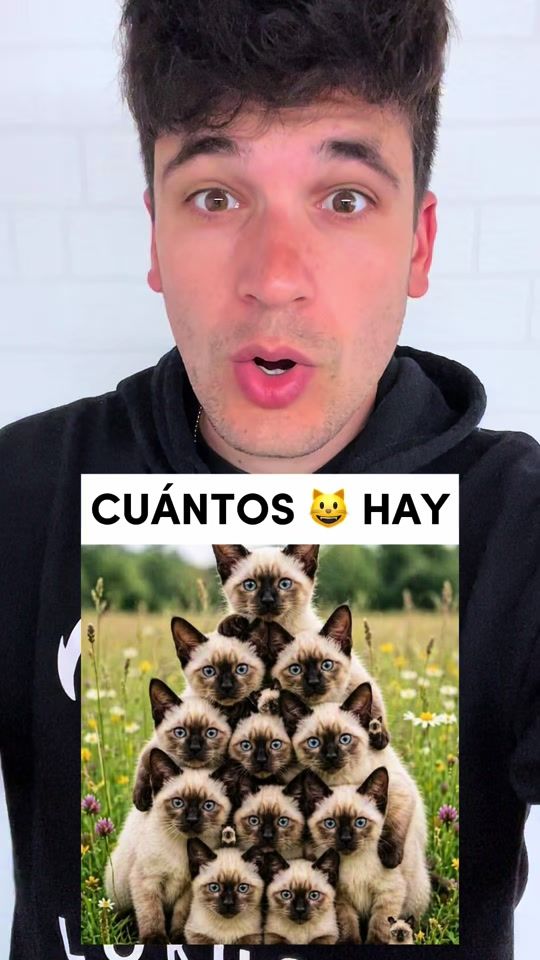 TikTok video thumbnail by guillemojeda