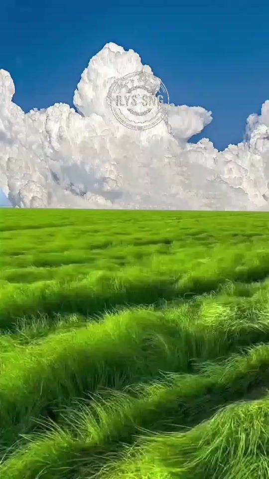 TikTok video thumbnail by ilys.sng