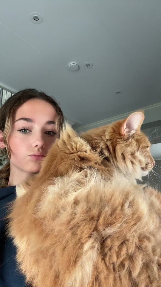 TikTok video thumbnail by noracoppens3