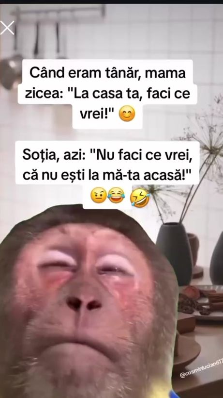 TikTok video thumbnail by mariangabriel1997
