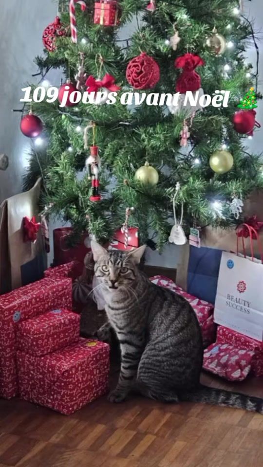 TikTok video thumbnail by kiko.gaming26
