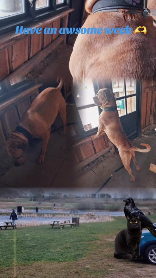 TikTok video thumbnail by darekrasmussen1