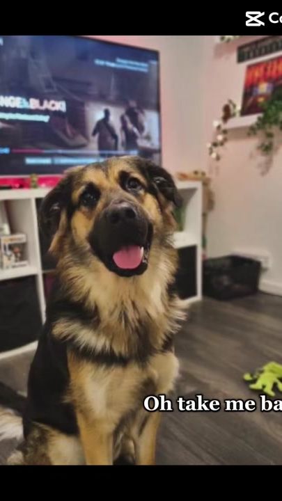 TikTok video thumbnail by ellie90459