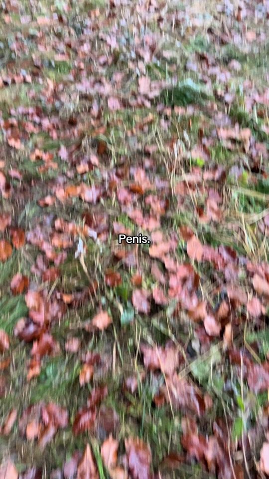 TikTok video thumbnail by winter_202425