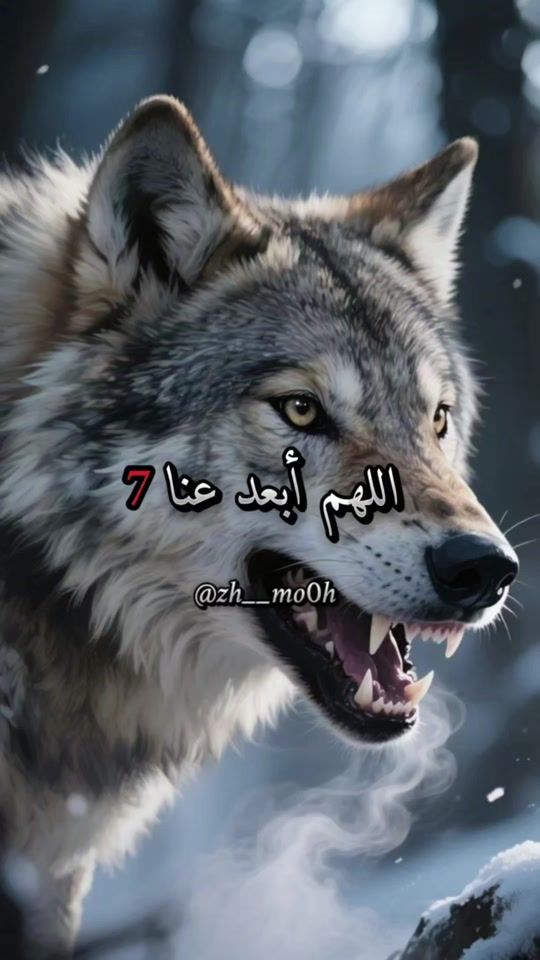 TikTok video thumbnail by zh__mo0h