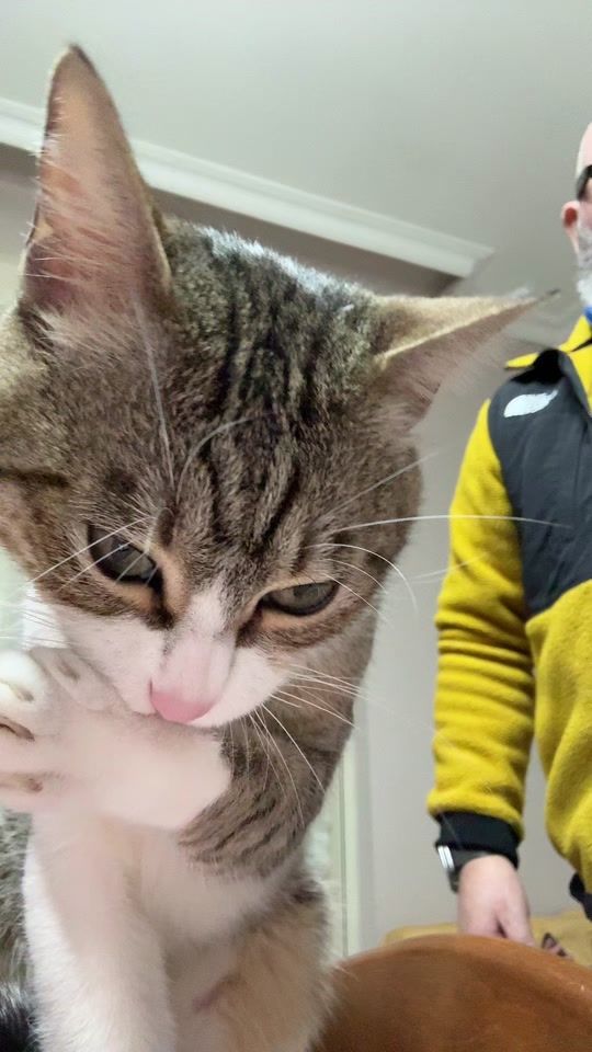 TikTok video thumbnail by orazio_fidone_barber