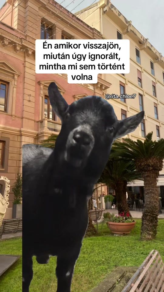 TikTok video thumbnail by rita.chloe7