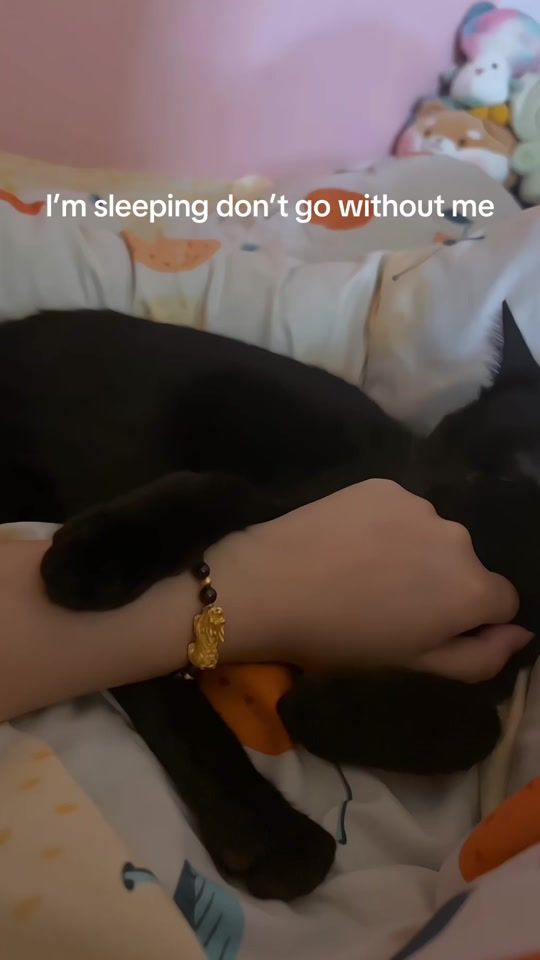 TikTok video thumbnail by cutee_kitty7