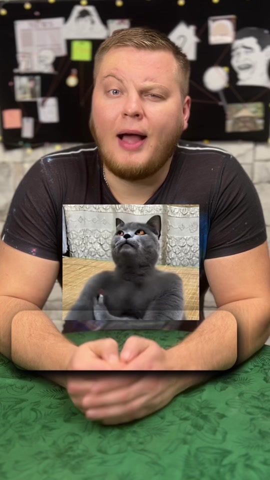 TikTok video thumbnail by memolog_20