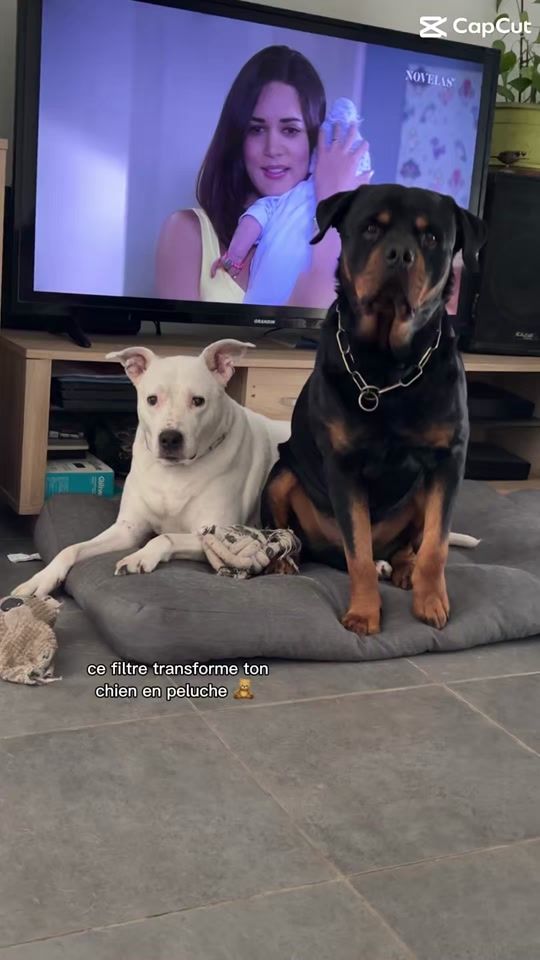 TikTok video thumbnail by zeus97484