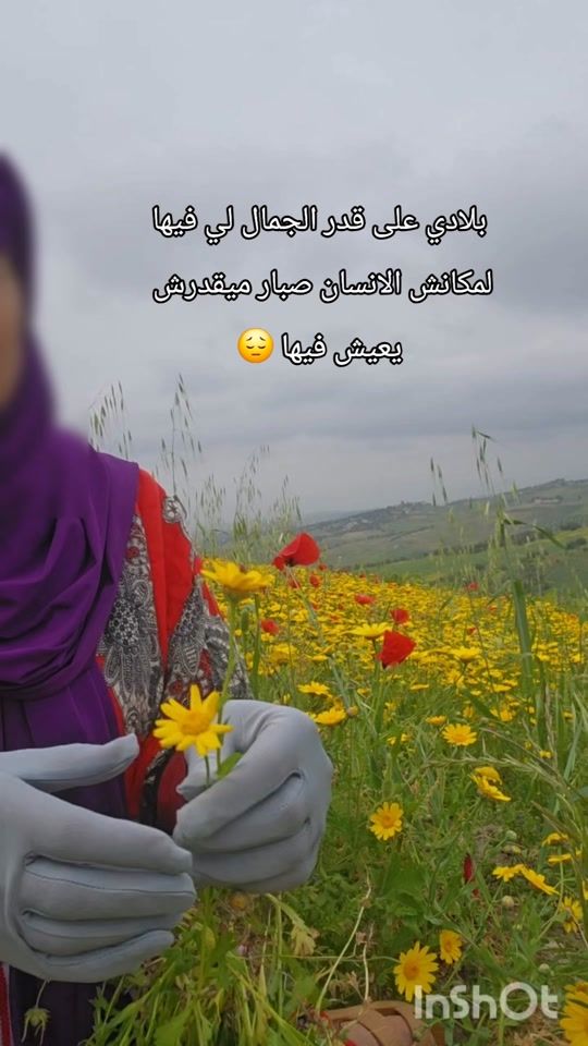TikTok video thumbnail by elham_khadija