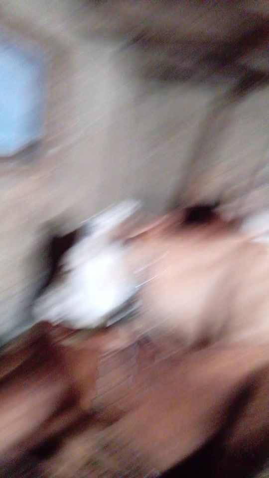 TikTok video thumbnail by marian.bratila