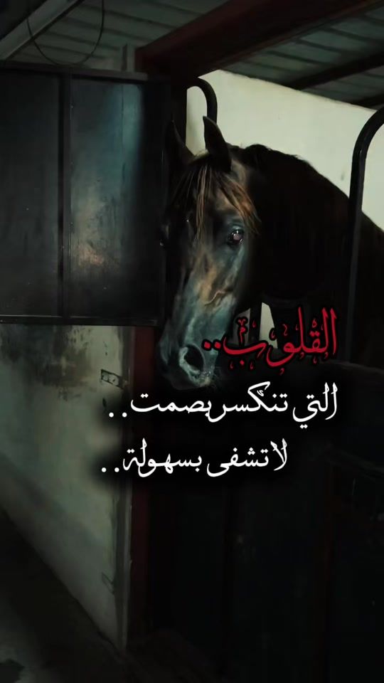 TikTok video thumbnail by o__alfaruq